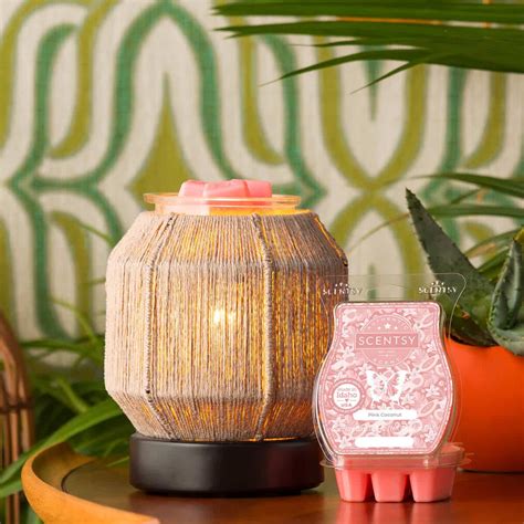 february scentsy warmer 2024|scentsy 2022 catalog.